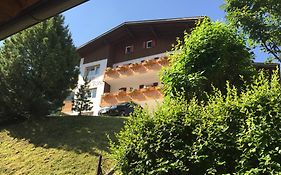 托尼加尼酒店